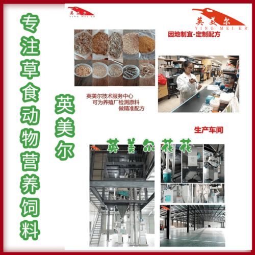 育肥牛飼料品牌與技術(shù)推廣的協(xié)同之道